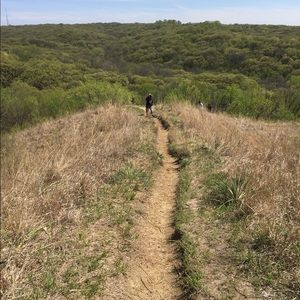 Meet your Posher, Leslie